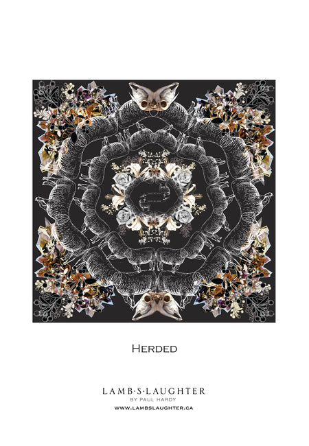 Herded Shawl Scarf